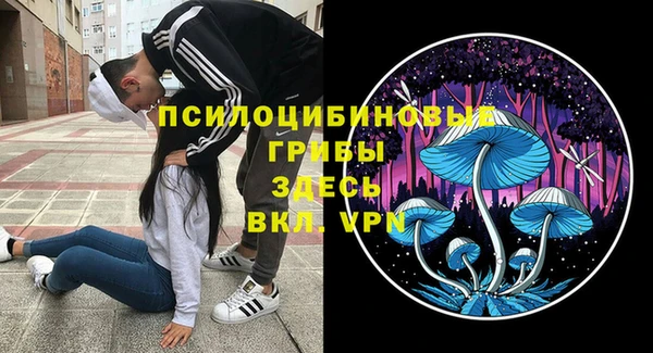 экстази Каменка