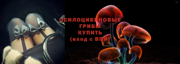 экстази Каменка