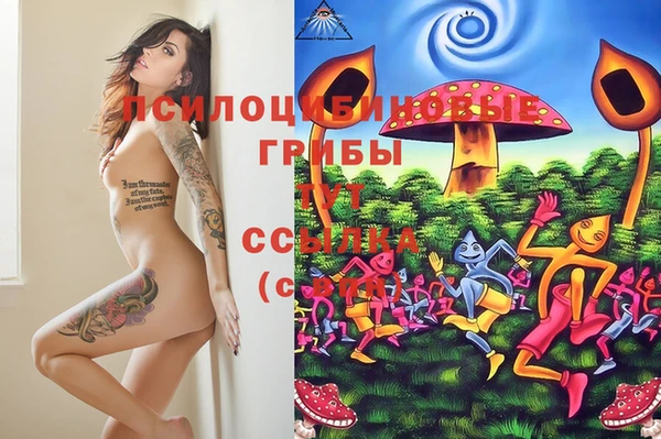 экстази Каменка