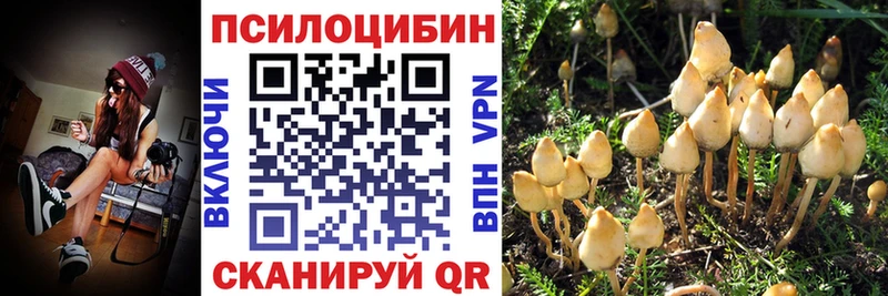 Купить  Бугуруслан  Псилоцибиновые грибы MAGIC MUSHROOMS 